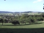 Fotos "bunt gemischt"