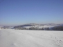 Landschaft
